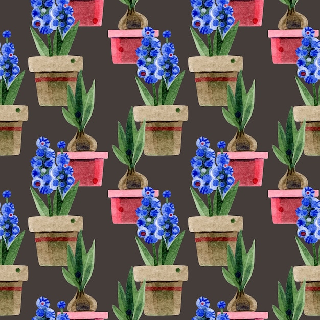 Pattern with potted flowers A blue hyacinth in a brown clay pot and a tulip in a red ceramic pot Handdrawn watercolor illustrations on a brown background For textiles packaging flower shop