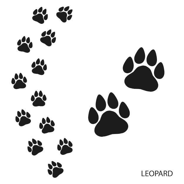 Paw prints animal footprints leopard footprints template Icon and track of footprints