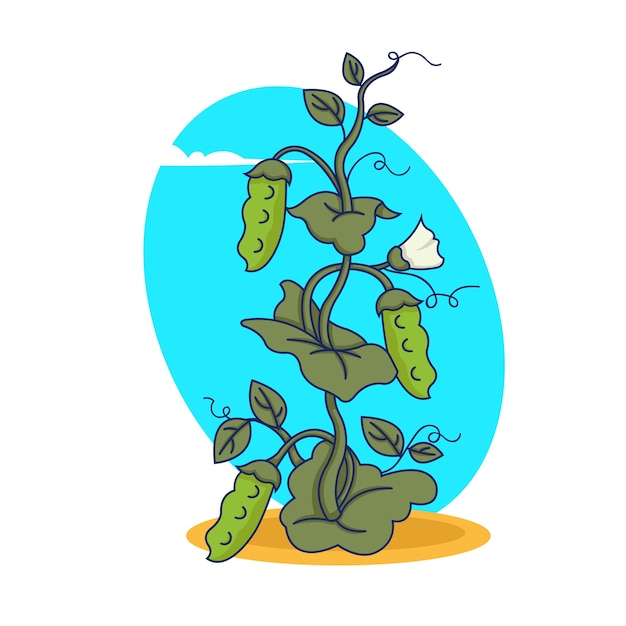 Pea plant with fruits in  style.  illustration.