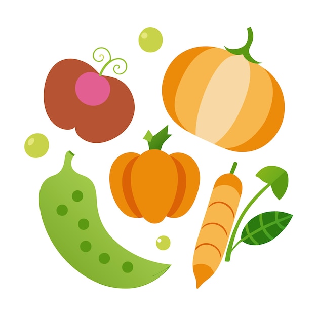 pea potato pumpkin radish vegetables clipart vector art and illustration