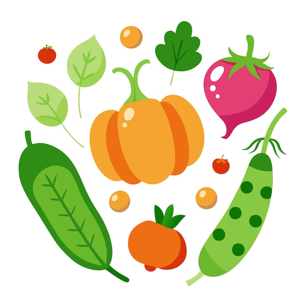 pea potato pumpkin radish vegetables clipart vector art and illustration