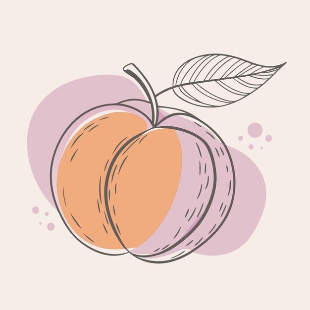 Vector peach fruit cartoon icon illustration vector illustration line circuit