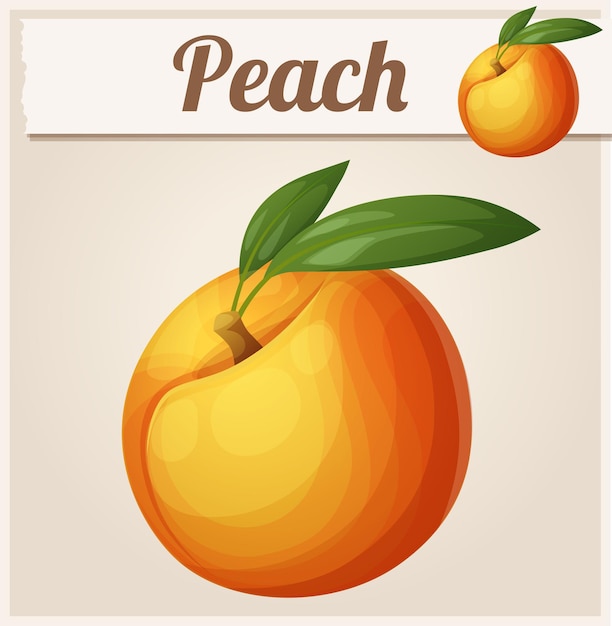 Peach fruit. Cartoon vector icon. Series of food and drink and ingredients for cooking