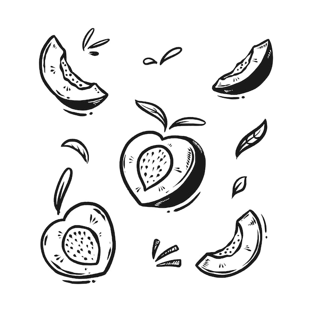 Peach fruit doodle set hand drawn illustration