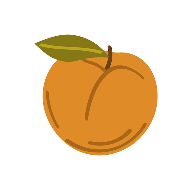 Peach isolated on white. Vector illustration