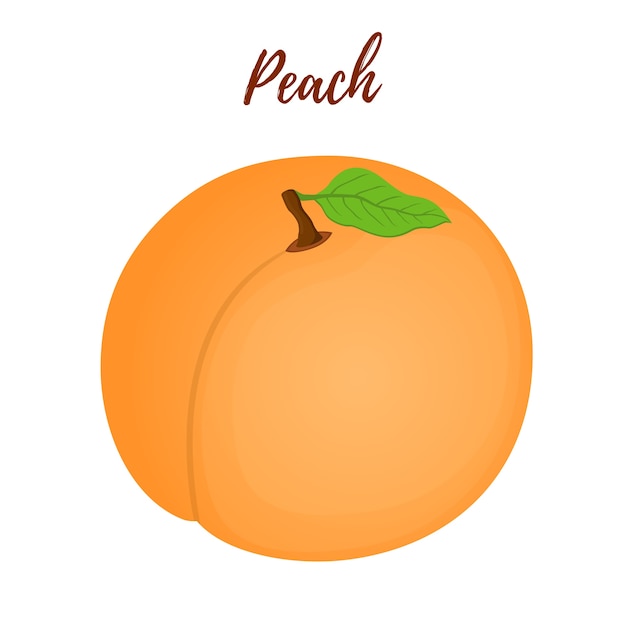 Peach with leaf in cartoon style