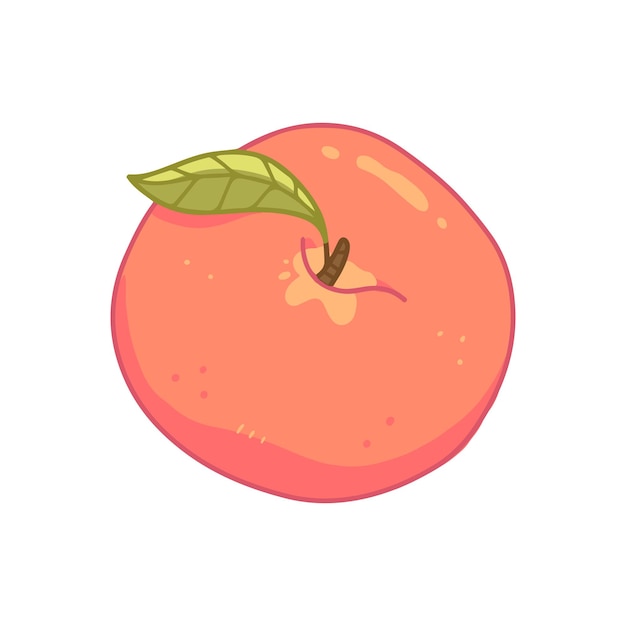 Peach with a leaf in cute cartoon style Vector isolated illustration