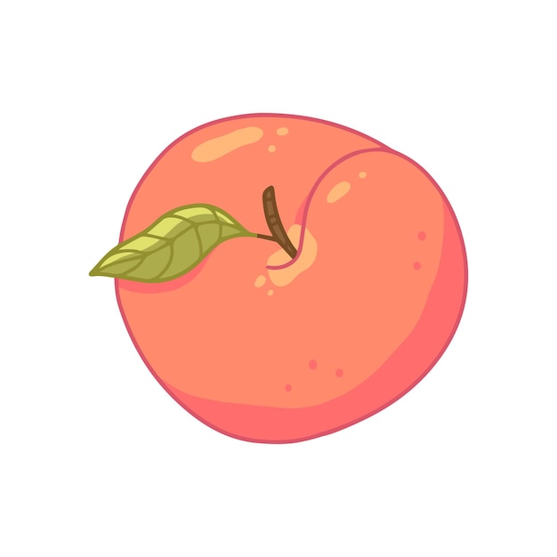 Peach with a leaf top view in cartoon style Vector isolated illustration