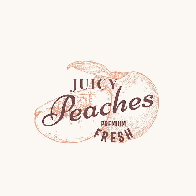 Peaches Abstract Vector Sign Symbol or Logo Template Hand Drawn Peach with a Slice and Vintage Typography Classy Vector Emblem Concept