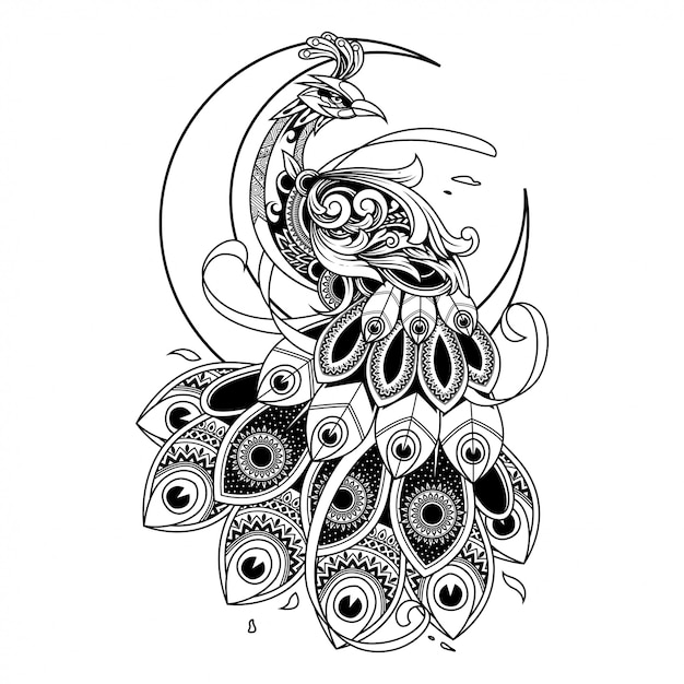 peacock doodle ornament illustration, tattoo and tshirt design