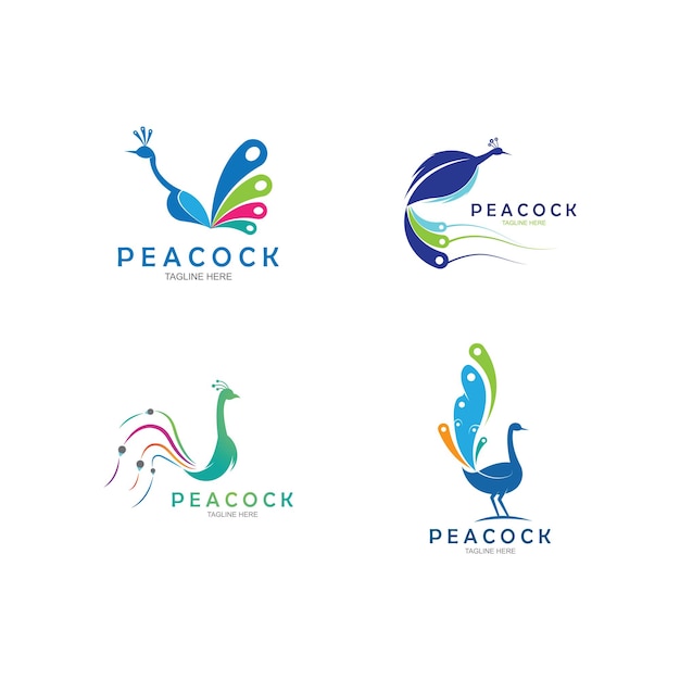 Peacock logo design vector template