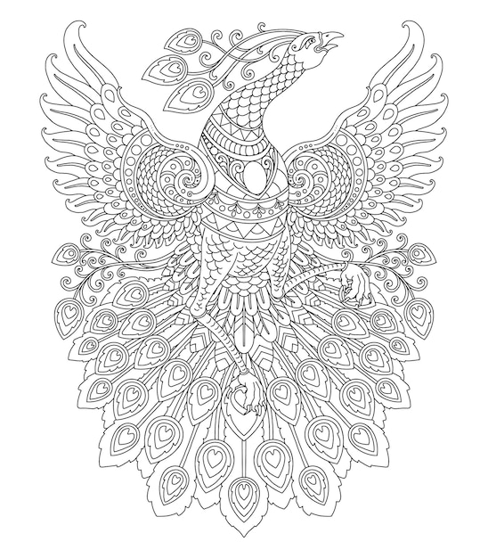 Peacock mandala design for coloring page print