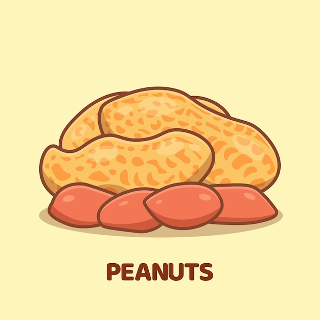 Peanut cartoon vector icon illustration isolated