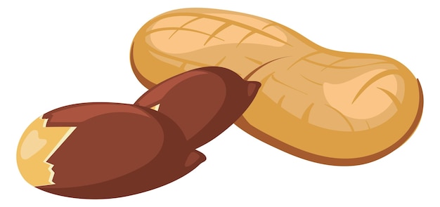 Peanut icon Cartoon nutshell and peeled nut