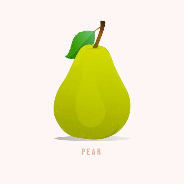 Pear Fruit Modern style vector illustration