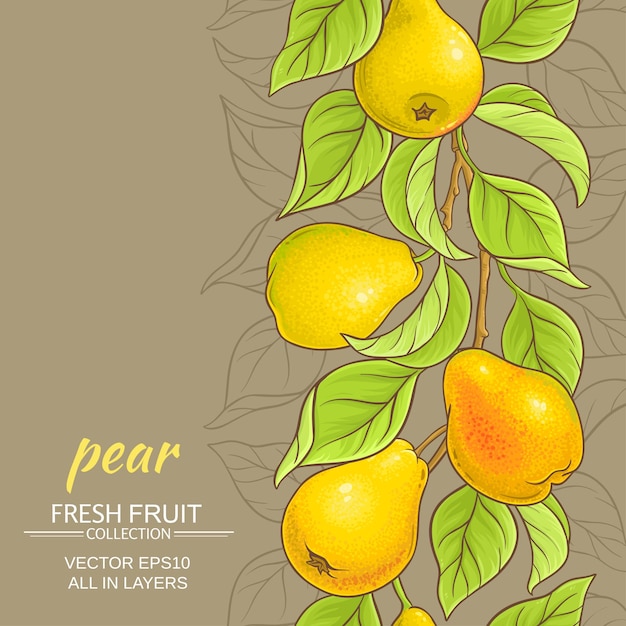 Pear vector background