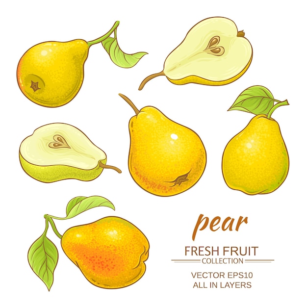 Pear vector set