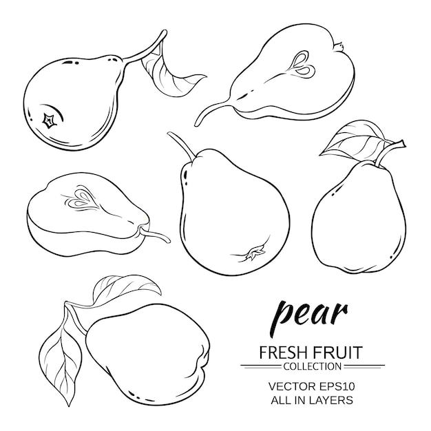 Pear vector set