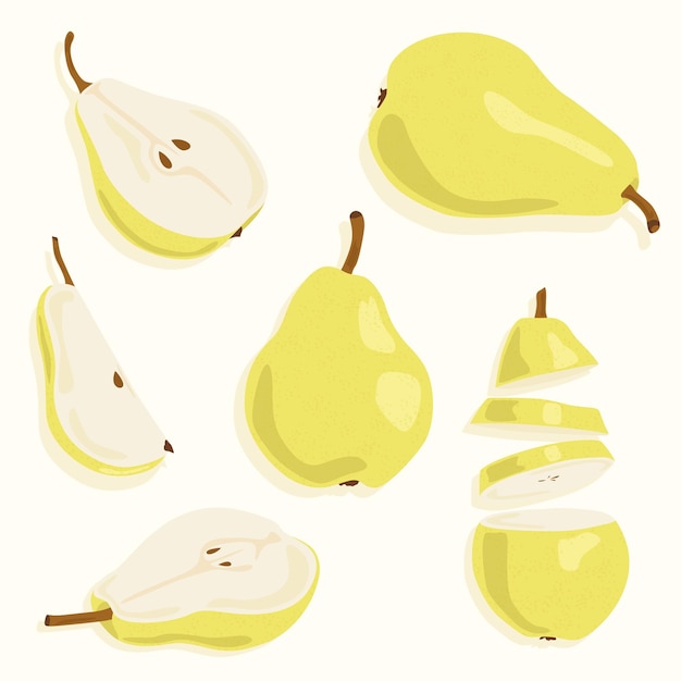 Pear whole and cut in half Vector icons on the theme of food Summer fruits