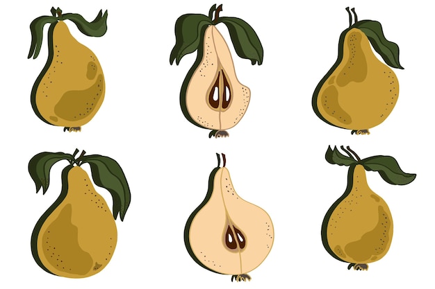 Pears with leaves whole and chopped Pear vector isolated set pattern