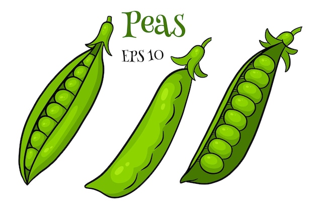 Peas set. Closed and open green pea pods. In a cartoon style. Vector illustration for design and decoration.