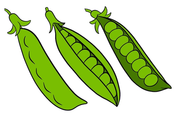 Peas set Closed and open green pea pods In a cartoon style Vector illustration for design and decoration