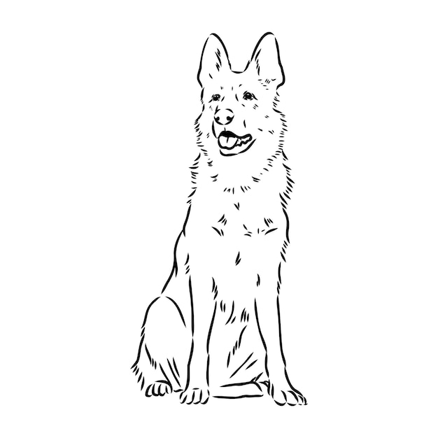 Pedigree dog drawn in ink by hand without a background