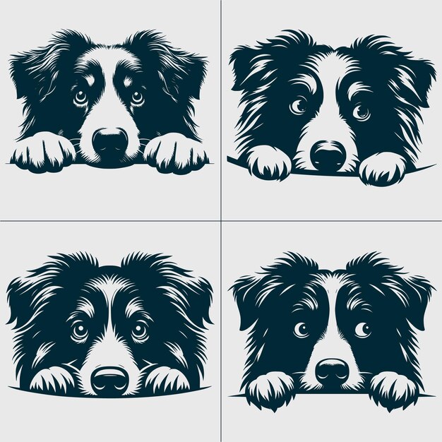 Vector peeking australian shepherd svg peeking australian shepherd clipart peeking australian shepherd sv