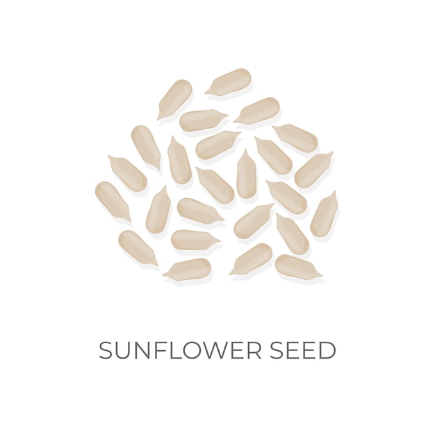 Peeled Sunflower Seed Peanut Kuaci Vector Illustration Logo