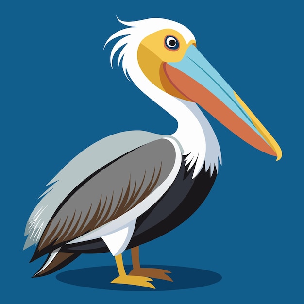 Vector pelican bird clip art vector illustration design