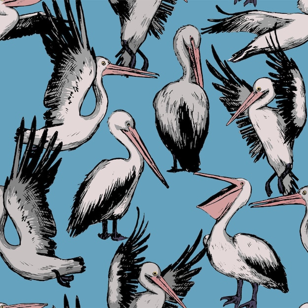 Pelicans vector seamless pattern. Exotic birds tropical ornament. Design for textile, print, background, wallpaper.