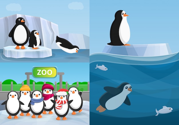 Penguin banner set, cartoon style