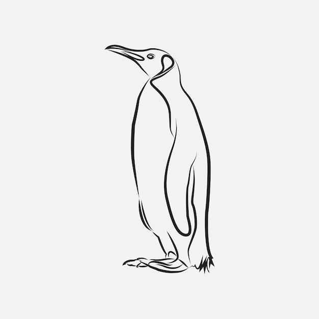 penguin line art sketch illustration