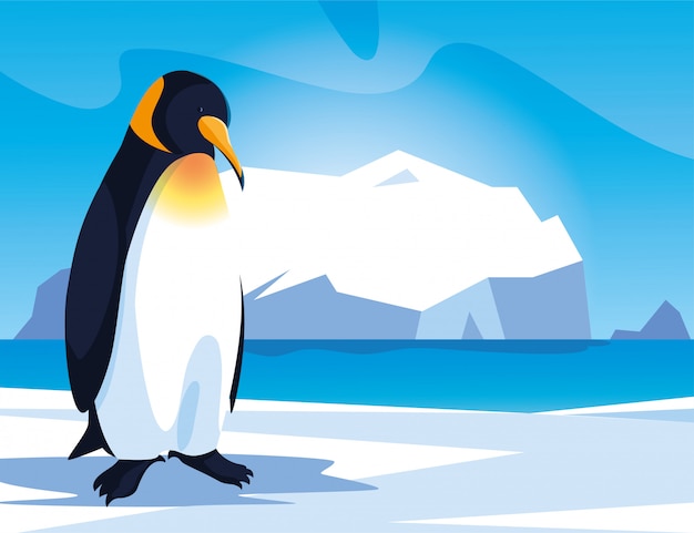 Penguin at the north pole, arctic landscape