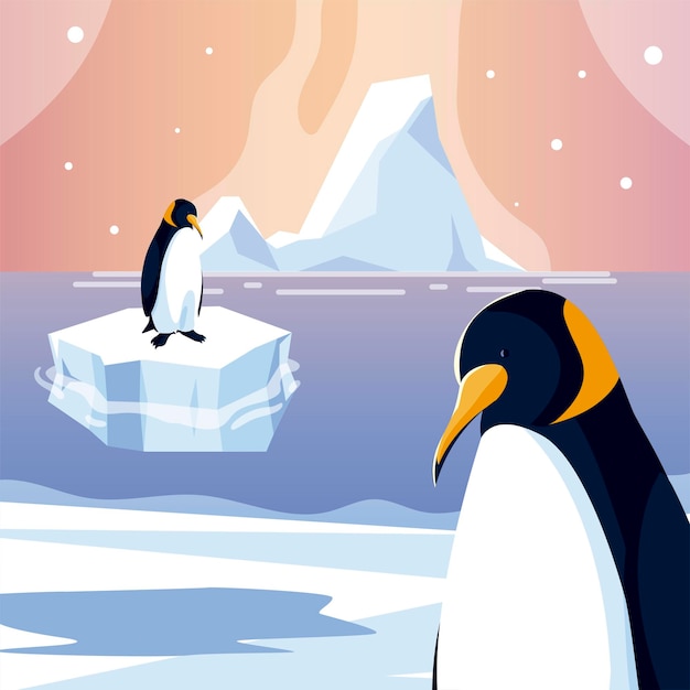 Penguins animals iceberg north pole sea design  illustration