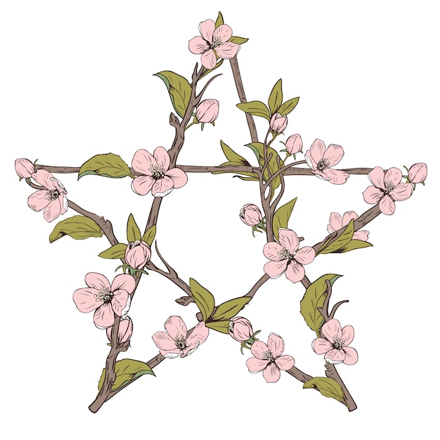 Pentagram sign made with branches from a blooming tree. Hand drawn botanical pink blossom on white background. Vector illustration.