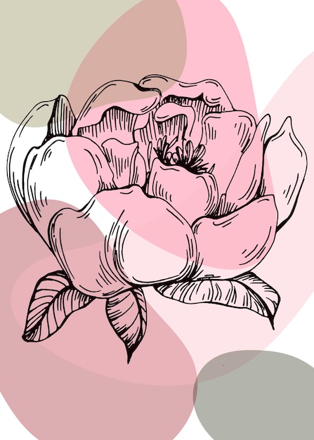 Peonies Hand Painted Illustrations for Wall Decoration minimalist flower in sketch style