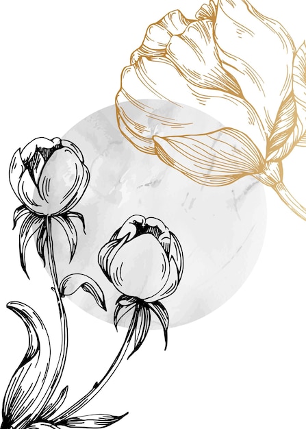 Peonies Hand Painted Illustrations for Wall Decoration minimalist flower in sketch style