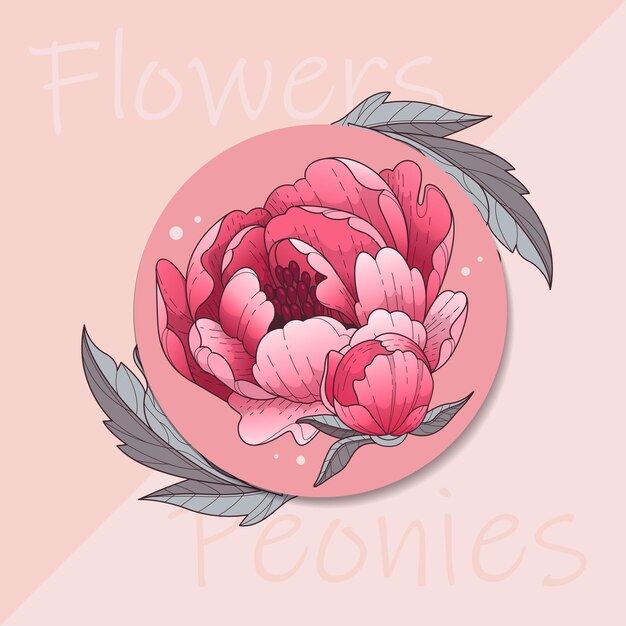 Vector peonies