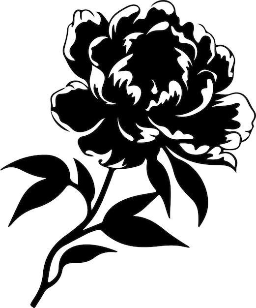 Vector peony black silhouette with transparent background