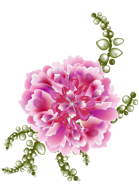 Peony flower bloom botany card Watercolor vector illustrations