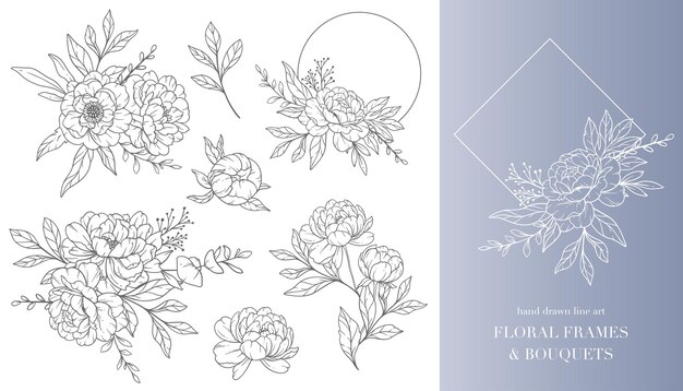 Vector peony flower line art floral frames and bouquets line art fine line peony frames hand drawn