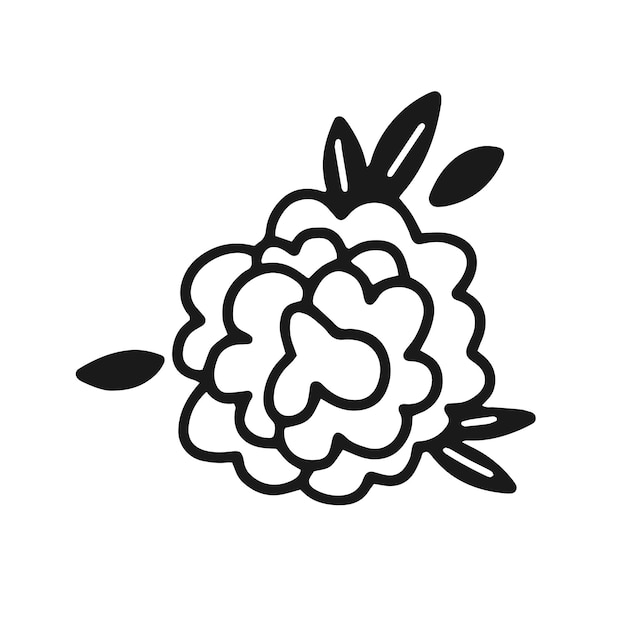 Peony flower with leaves in a simple doodle style Vector isolated flower illustration