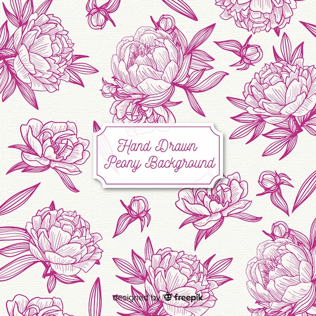 Peony flowers background