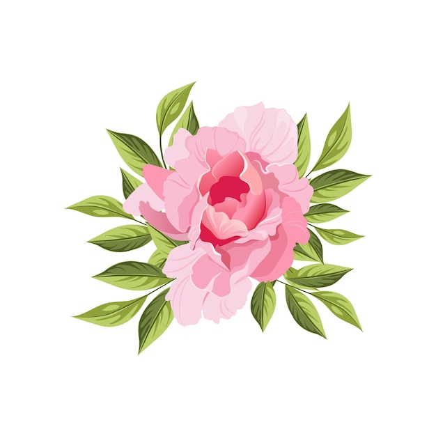 Peony Hand Drawn Realistic Illustration