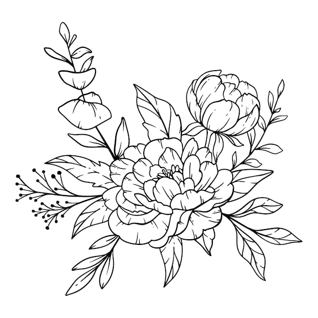 Peony Line Art Fine Line Peony Bouquets Hand Drawn Illustration Coloring Page with Peony Flowers