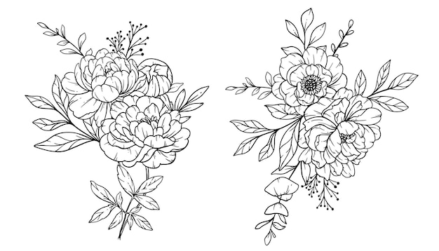 Peony Line Art Fine Line Peony Bouquets Hand Drawn Illustration Coloring Page with Peony Flowers