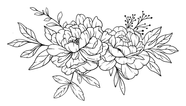 Peony Line Art Fine Line Peony Bouquets Hand Drawn Illustration Coloring Page with Peony Flowers