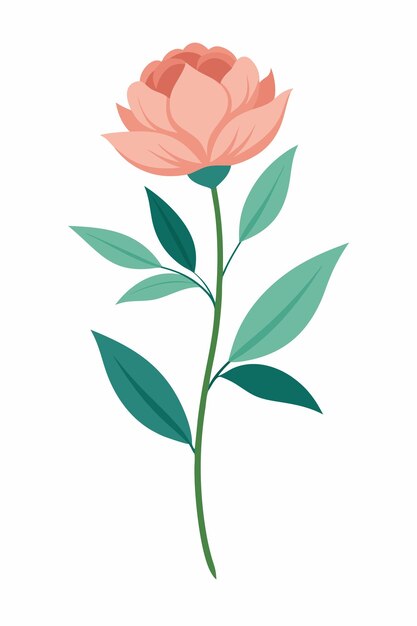 Peony plant minimal design vector illustration