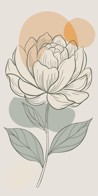 peony vector illustration line circuit